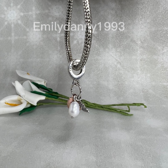 Pandora charms - Picture 4 of 4